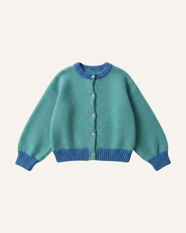 Forest and Sky Cardigan studio shot