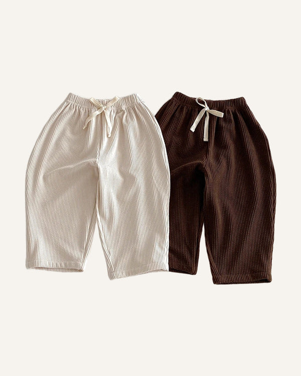 Acorn Cord Pants studio shot